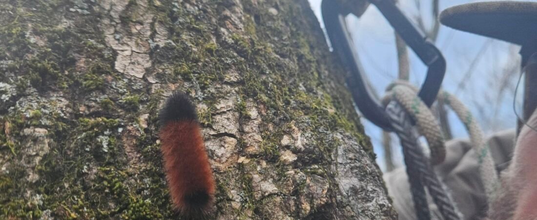 The Grace That Arrives After Surrender