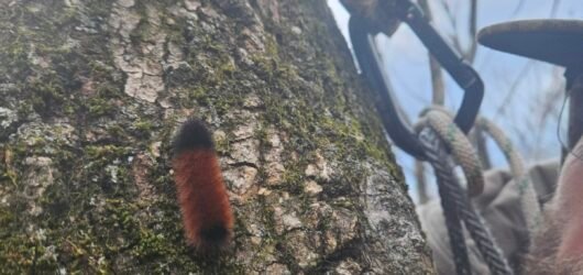 The Grace That Arrives After Surrender